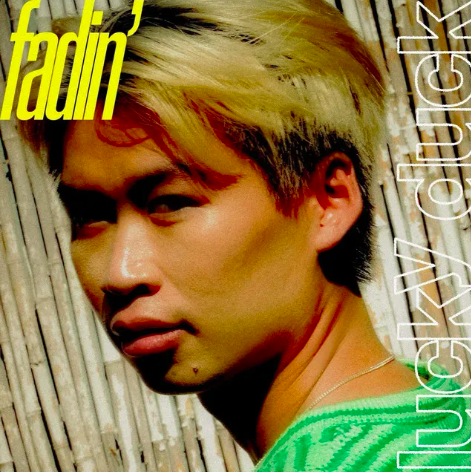 Album